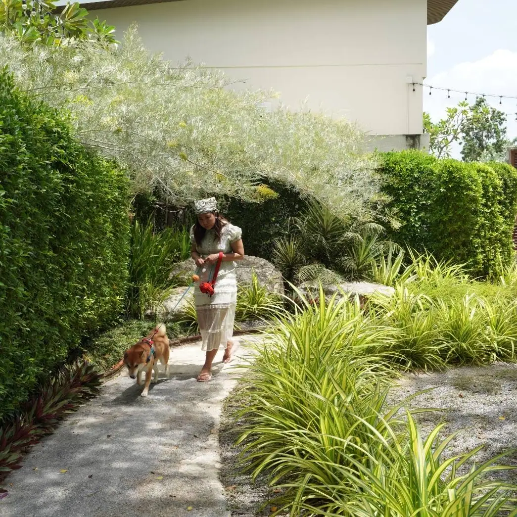 A guest walking a dog in the garden