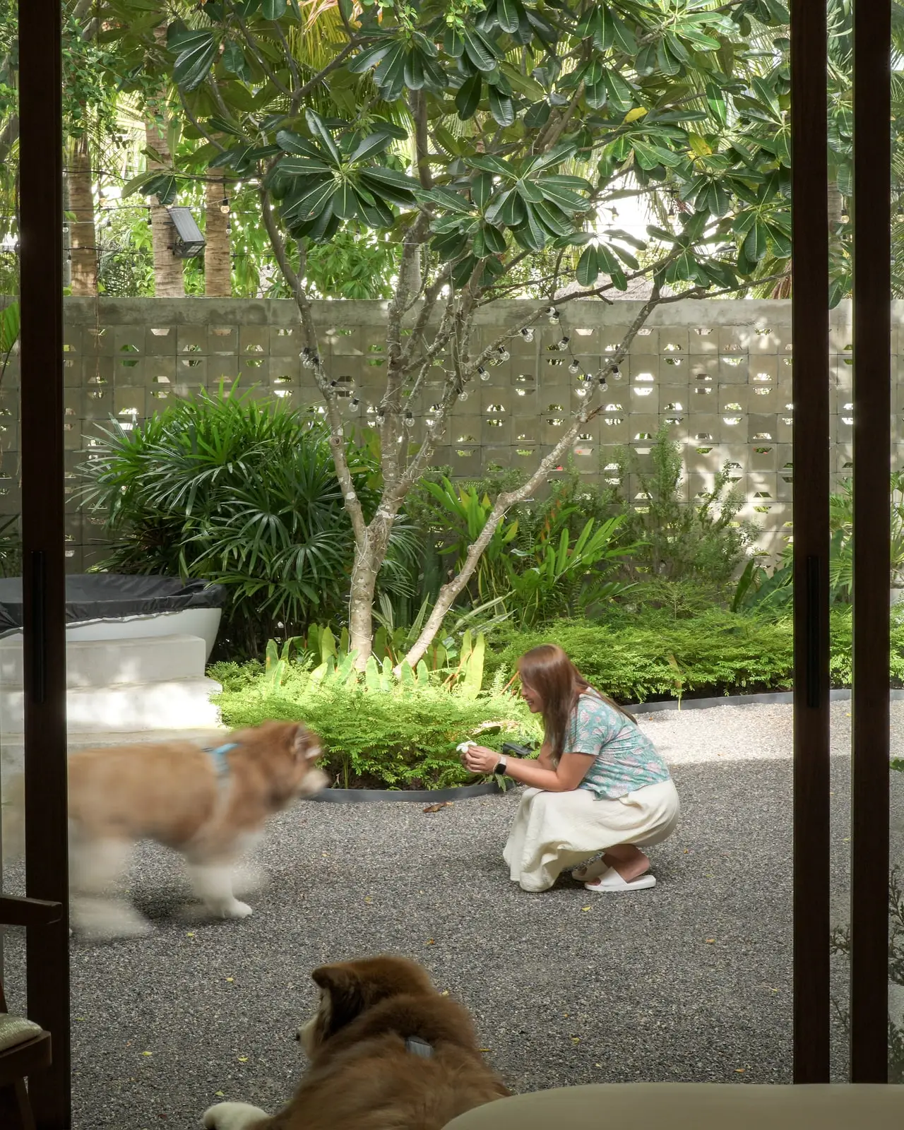 The living room opening onto the garden, with a dog and a cat
